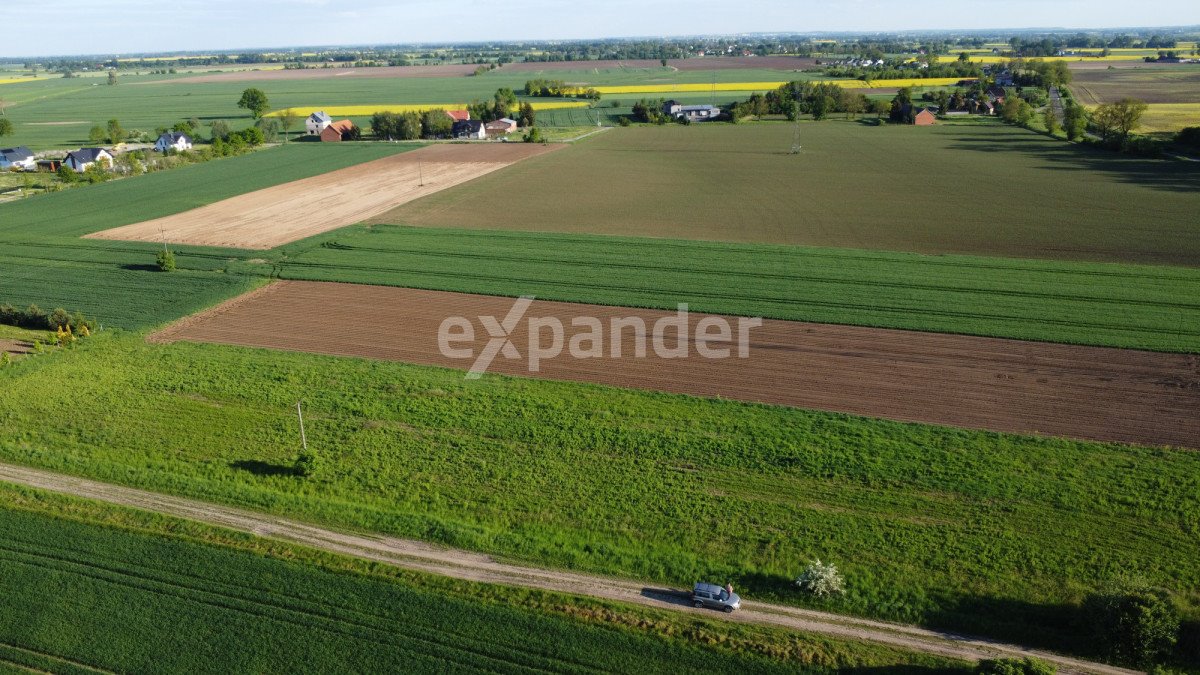 Działka budowlana na sprzedaż Suchy Dąb  3 000m2 Foto 10