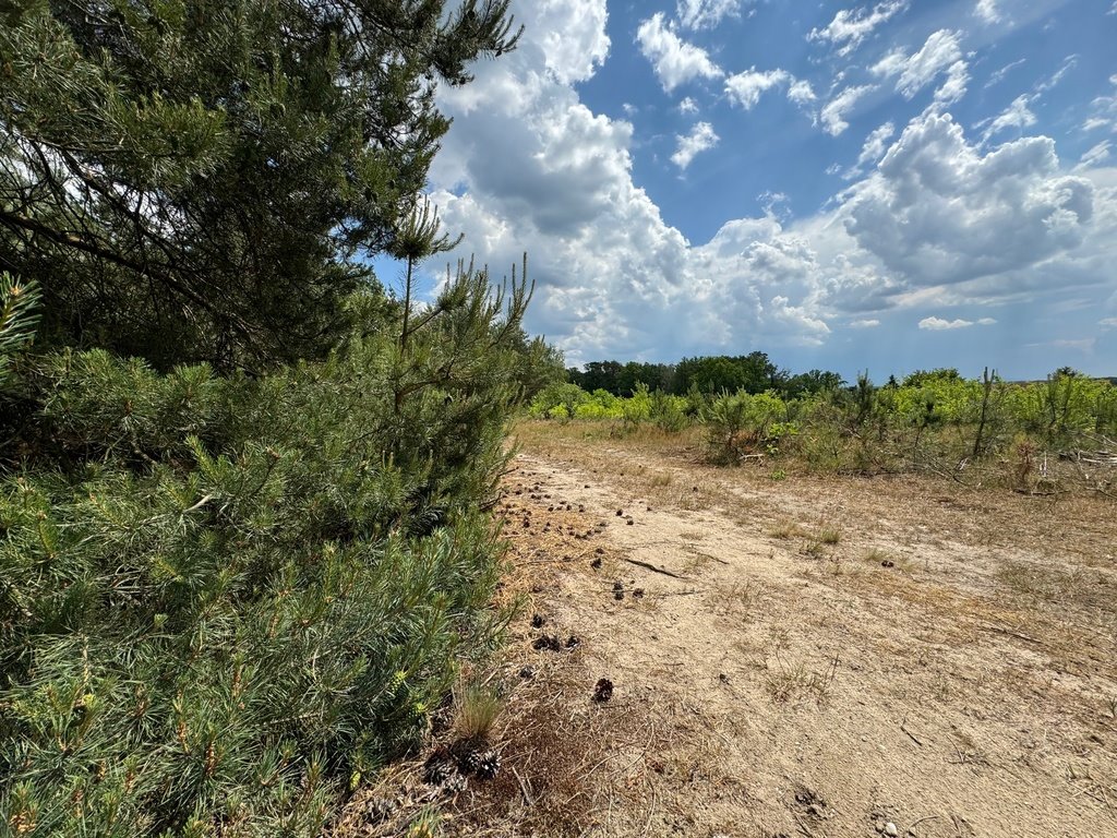 Działka budowlana na sprzedaż Grodzanów  1 000m2 Foto 5