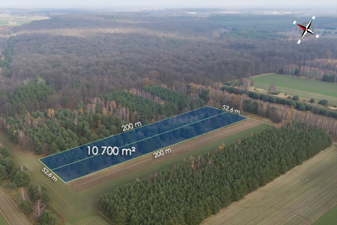 Działka leśna na sprzedaż Jedlno Pierwsze  10 700m2 Foto 4