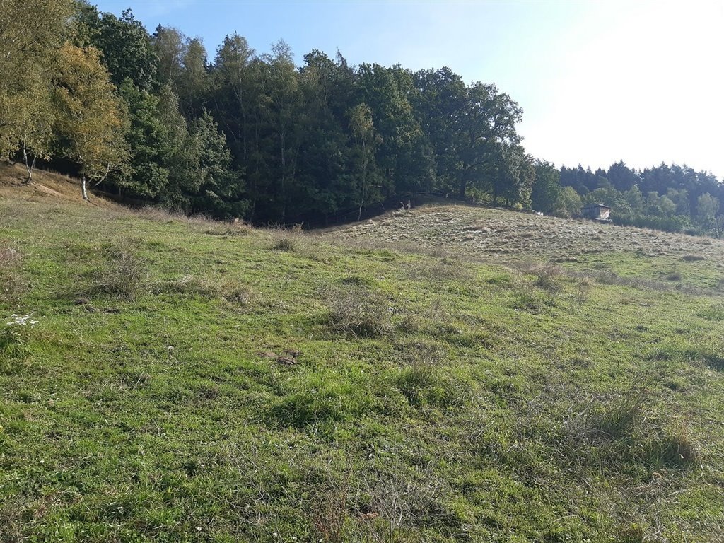 Dom na sprzedaż Wałbrzych, Nowe Miasto  150m2 Foto 20