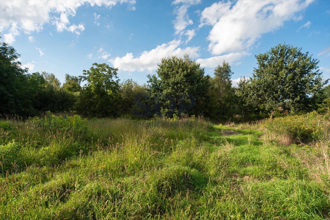 Lokal użytkowy na sprzedaż Brzezina, Kopernika Mikołaja  609m2 Foto 5