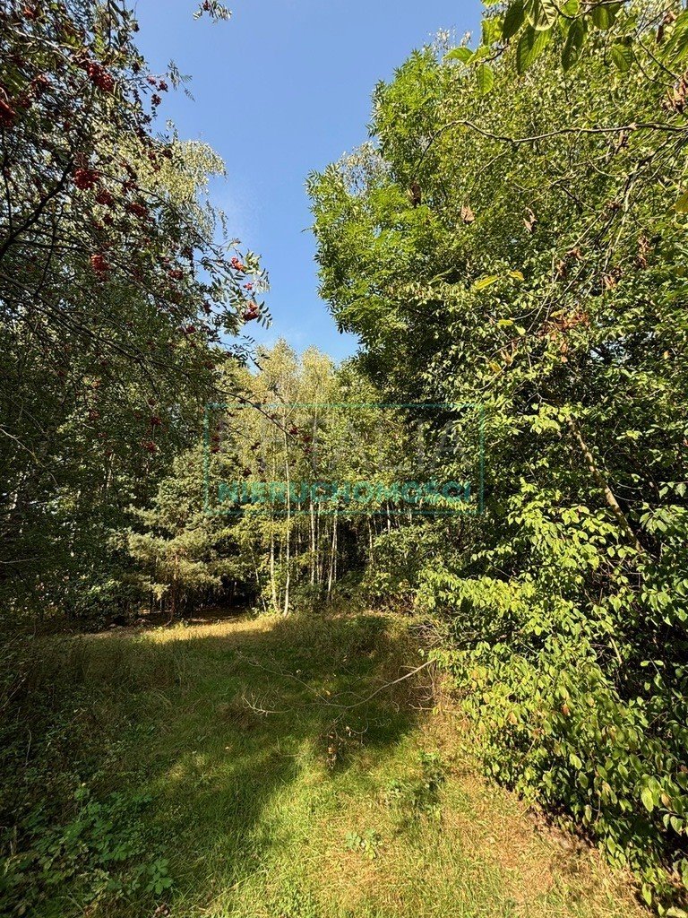 Działka 27 056 m² z budynkami i dostępem do drogi Wiskitki  27 056m2 Foto 1