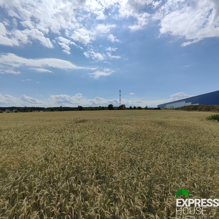 Działka inwestycyjna przy DK 91, 9 711 m2, media, podział Kruszów, Trybunalska  9 711m2 Foto 1