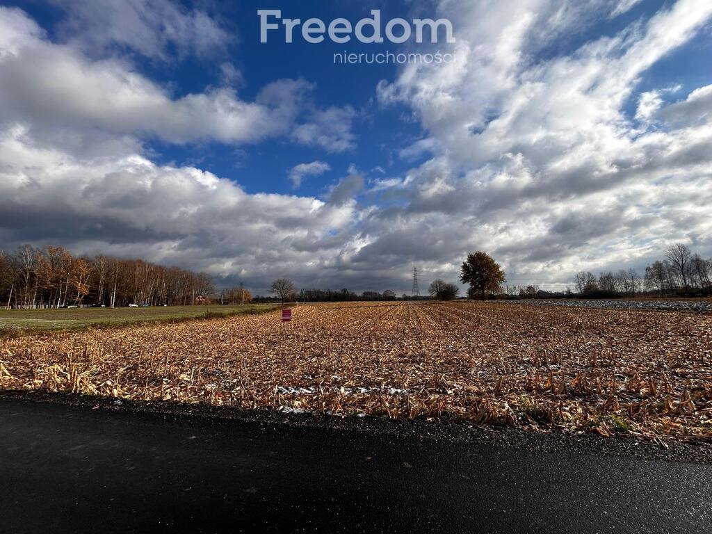 Działka rolna na sprzedaż Smolice, Przyległa  5 920m2 Foto 1