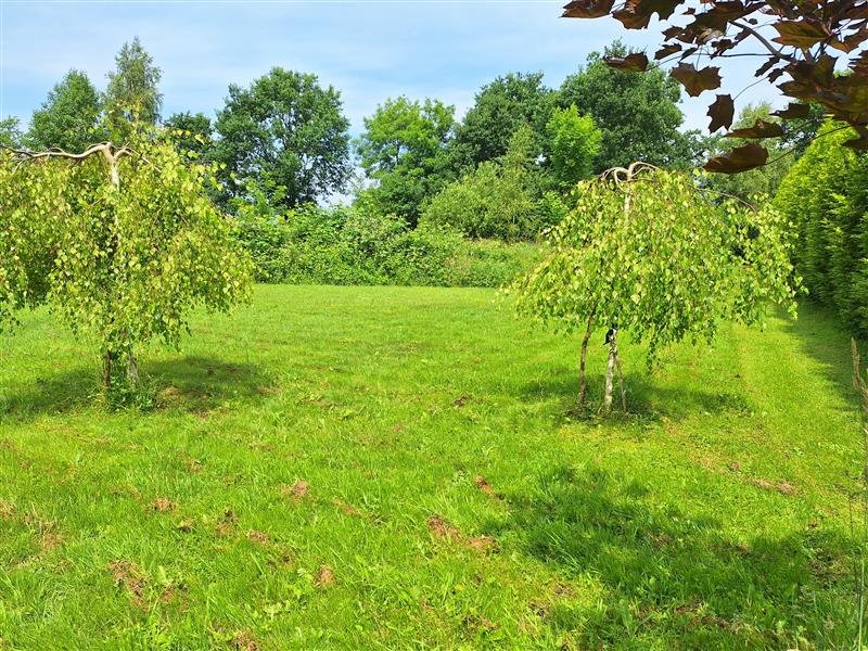 Działka budowlana na sprzedaż Domasławice, Domasławice  4 322m2 Foto 6