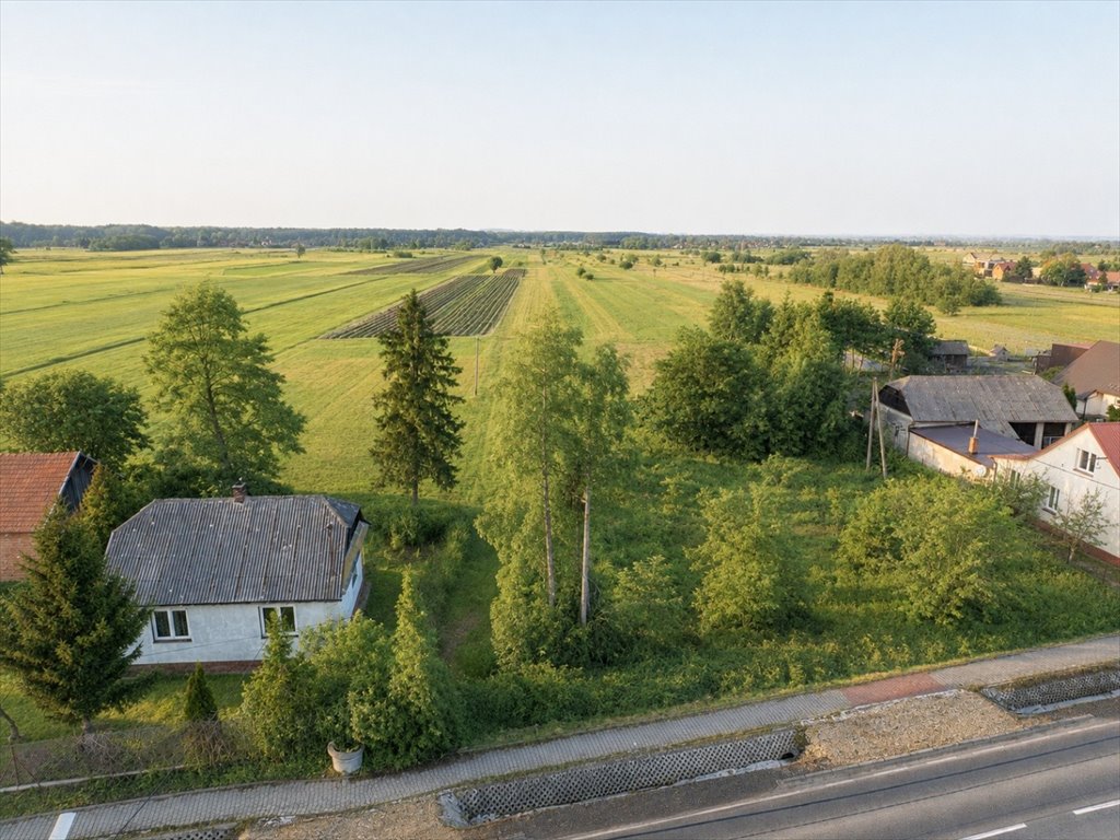 Zdjęcie 6