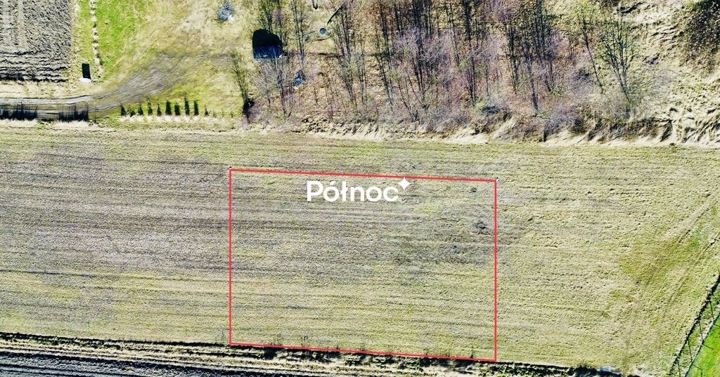 Zdjęcie 5