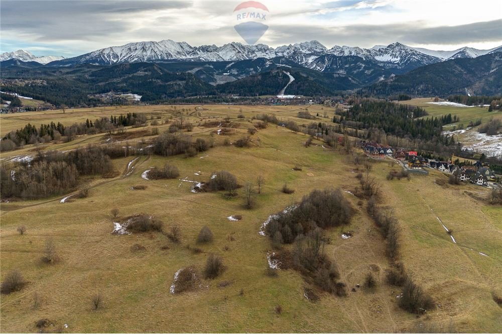 Działka rolna na sprzedaż Zakopane, Bachledzki Wierch  821m2 Foto 12