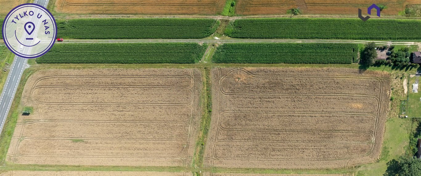 Działka budowlana na sprzedaż Paniówki, Zwycięstwa  1 612m2 Foto 13