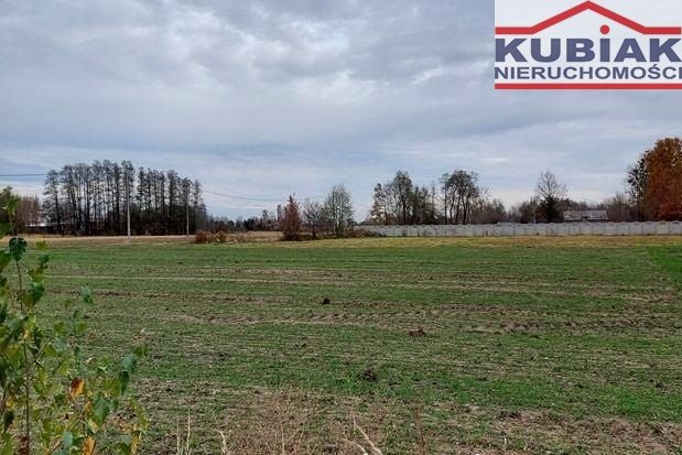 Działka 1194 m2 z mediami, MPZP, spokojna okolica Henryszew  1 194m2 Foto 1