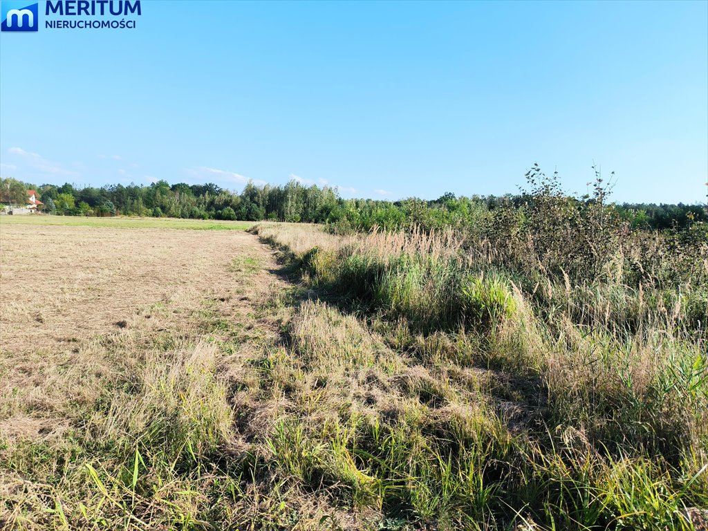 Działka inwestycyjna 4170 m² przy S8 z dużym potencjałem. Siestrzeń  4 173m2 Foto 1