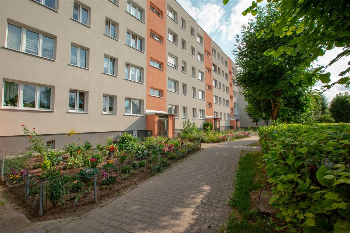 Mieszkanie trzypokojowe na wynajem Płońsk, Jaworskiego  47m2 Foto 12
