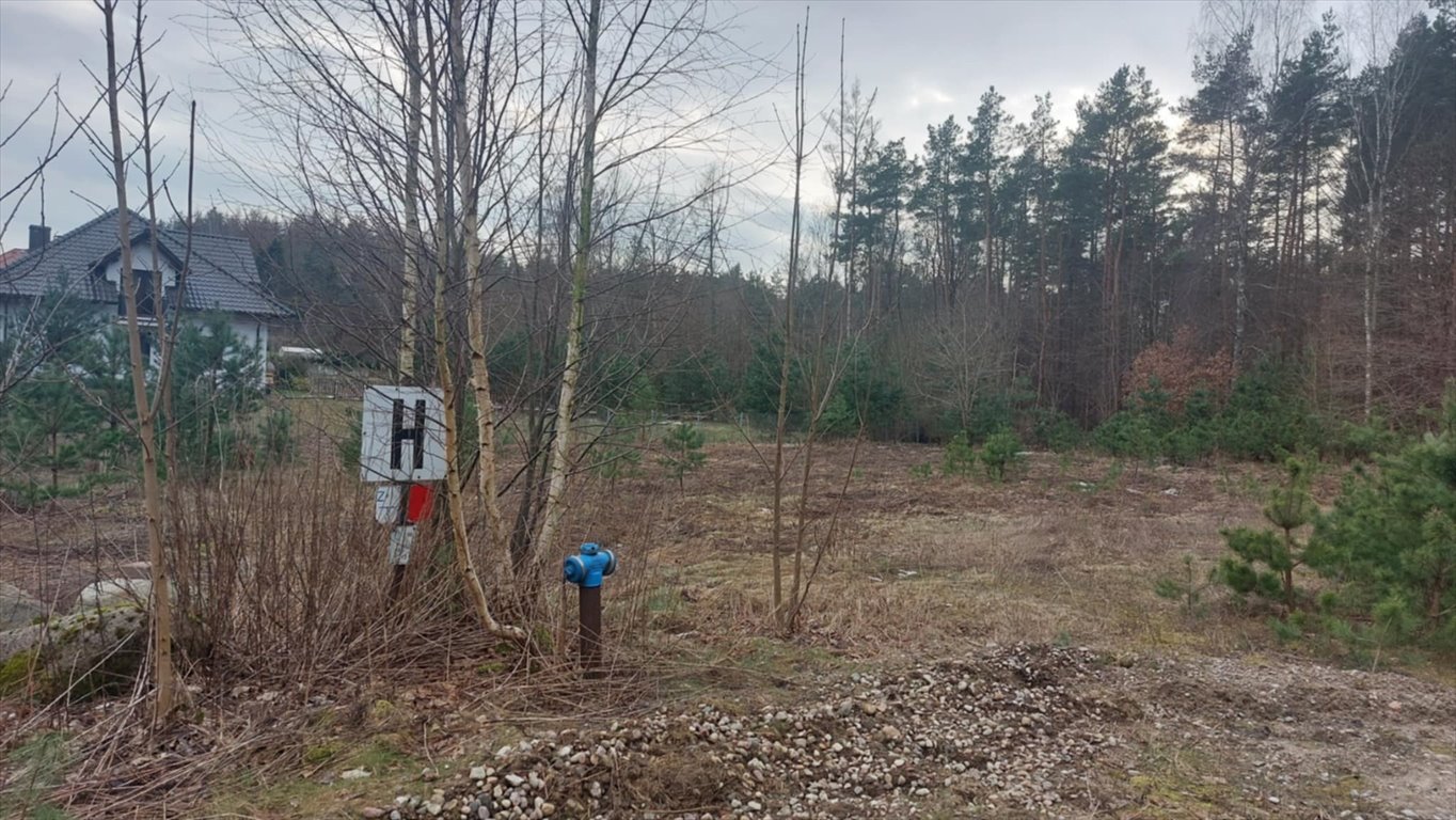 Atrakcyjna działka 2163 m² z lasem, nowoczesne domy Gowino, Zaciszne Zalesie, Kaczmarskiego  2 163m2 Foto 1