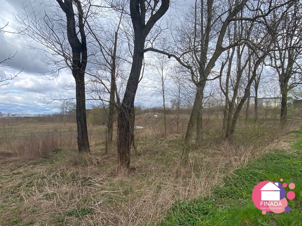 Działka inna pod dzierżawę Zabrze  10 039m2 Foto 3