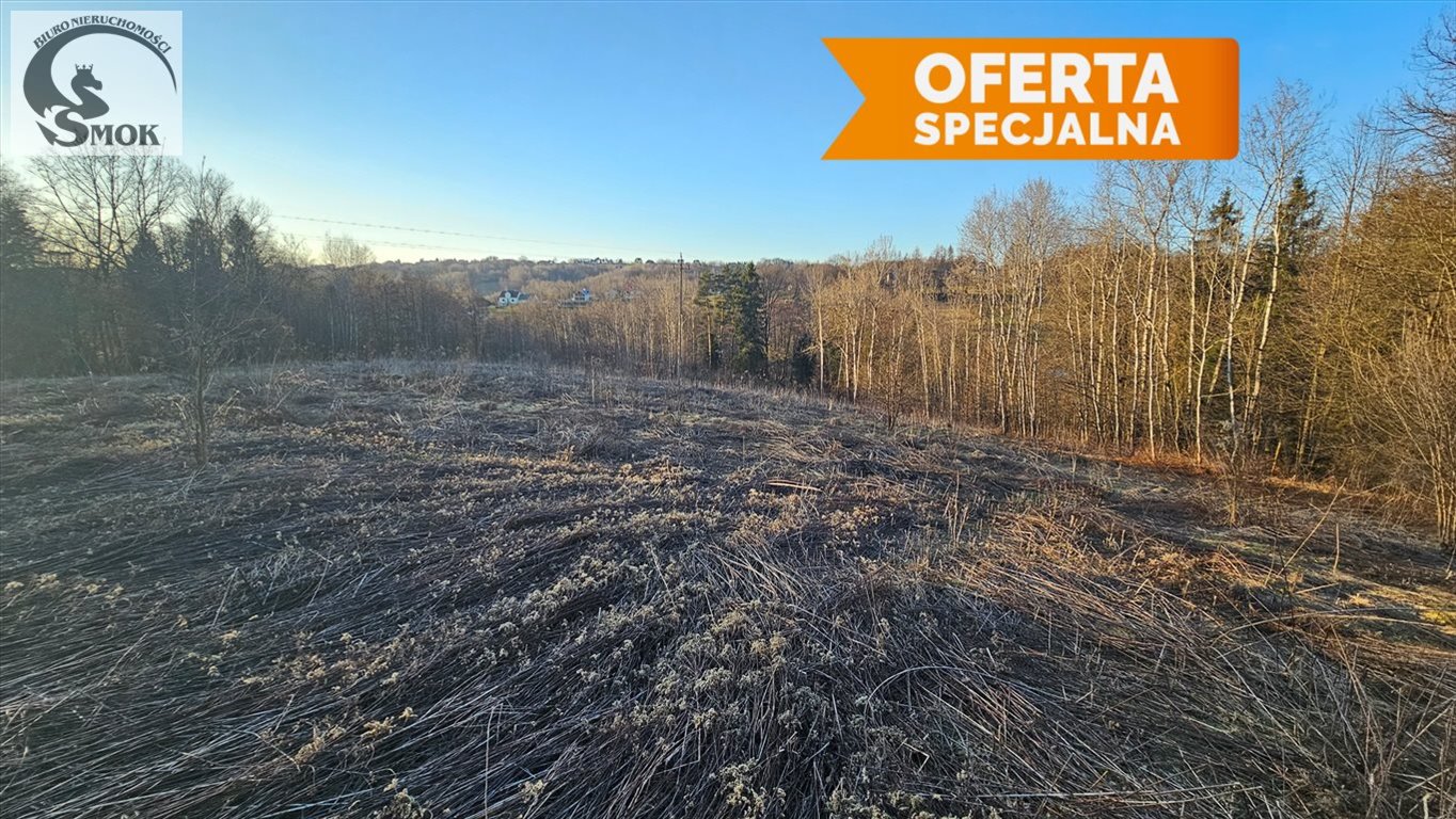 Działka 2,84 ha z widokiem, las i prywatność Zawada  28 400m2 Foto 1