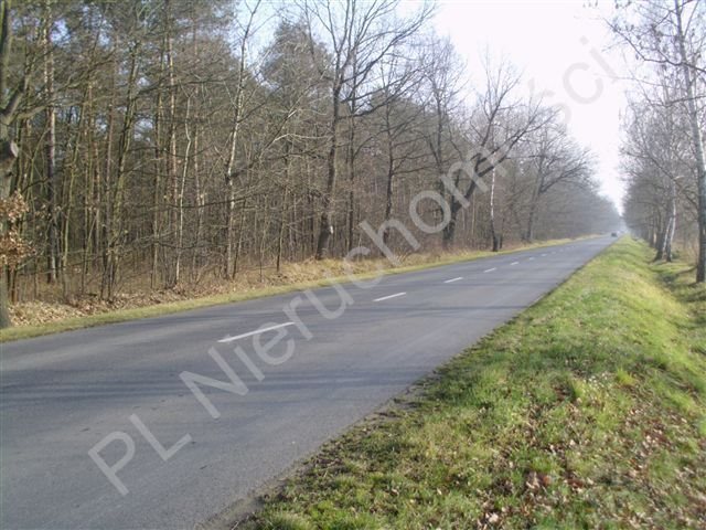 Działka inna na sprzedaż Skierniewice, Skierniewice 7 387m2 Foto 1 Działka inna na sprzedaż Skierniewice, Skierniewice 7 387m2 Foto 1