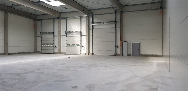 Lokal użytkowy na wynajem Pruszcz Gdański, Juszkowo 4 000m2 Foto 1 Lokal użytkowy na wynajem Pruszcz Gdański, Juszkowo 4 000m2 Foto 1