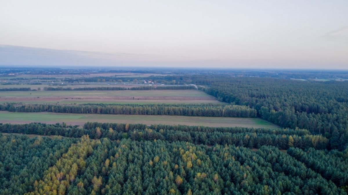 Działka budowlana na sprzedaż Trzcianka  25 988m2 Foto 10