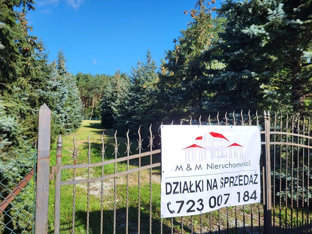 Na sprzedaż działki budowlane w Pieńkach Królewskich z warunkami zabudowy Grudziądz  754m2 Foto 1