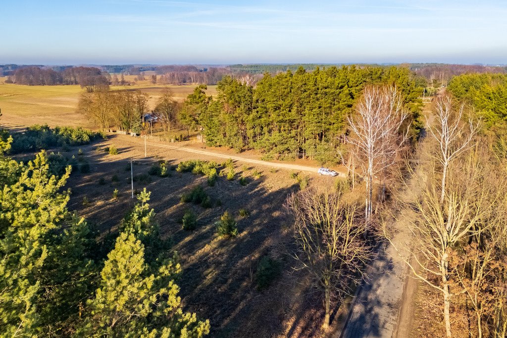 Działka siedliskowa na sprzedaż Borki  101 600m2 Foto 14