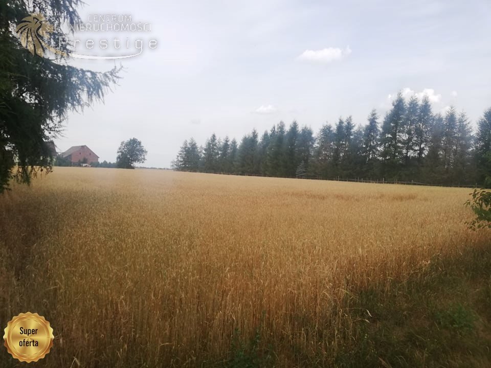 Działka budowlana na sprzedaż Biskupice, Biskupskie Drogi  1 353m2 Foto 16