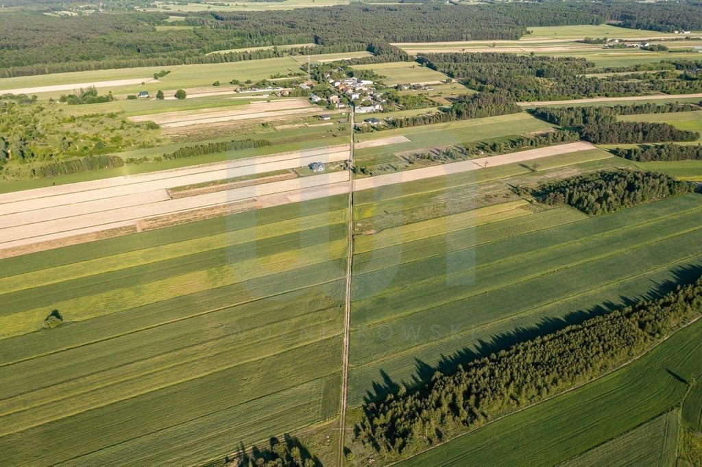 Działka rolna na sprzedaż Błogosławie  10 300m2 Foto 10