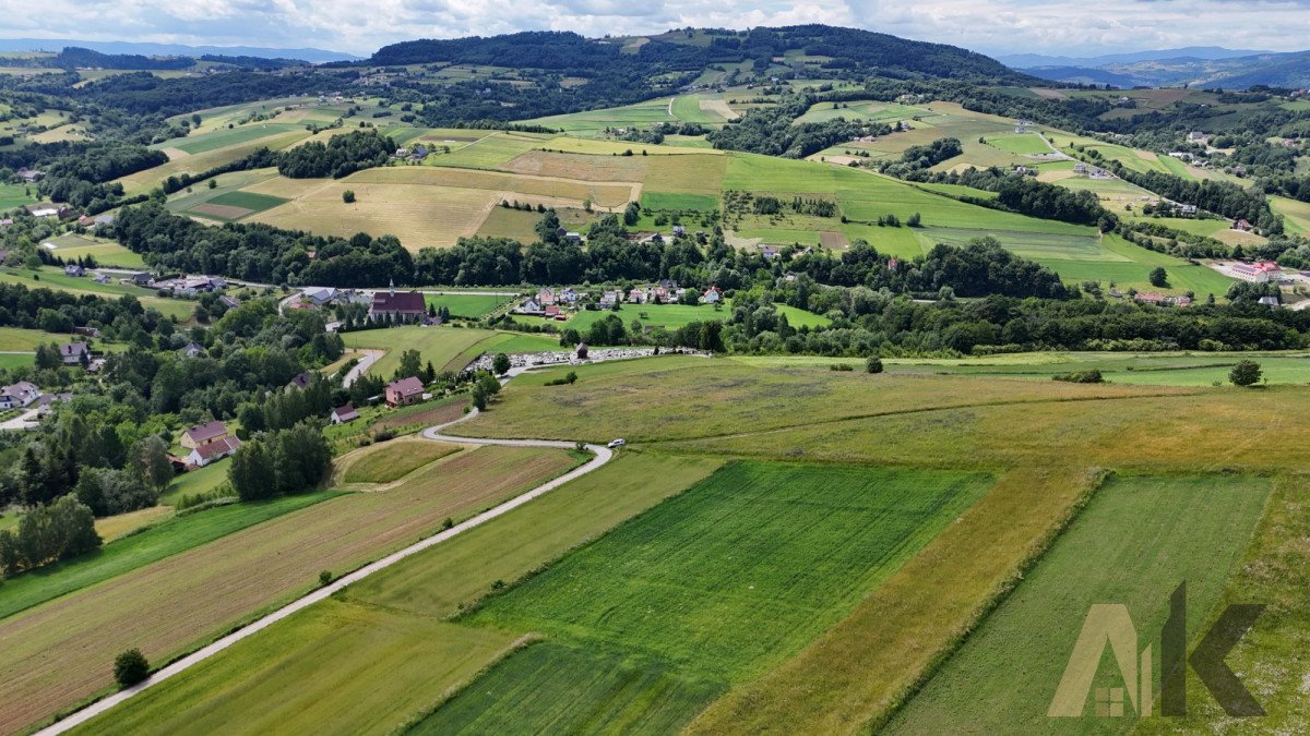 Działka budowlana na sprzedaż Sienna  3 100m2 Foto 6