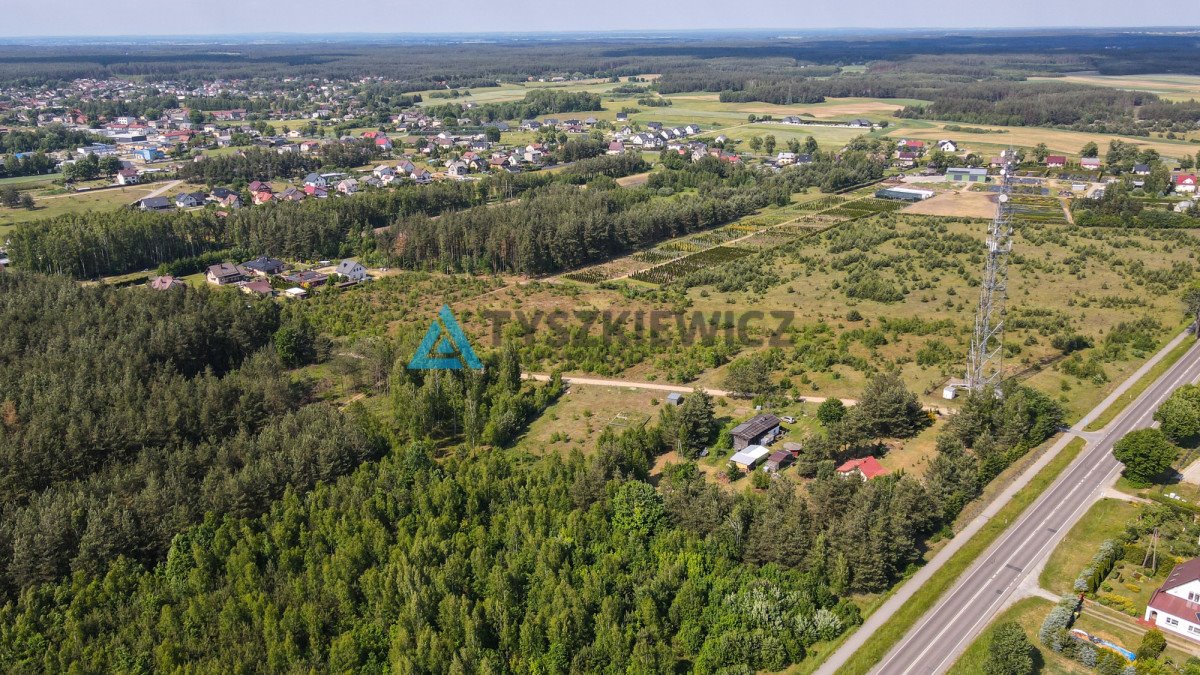 Działka budowlana na sprzedaż Frank, Brzozowa  3 543m2 Foto 10