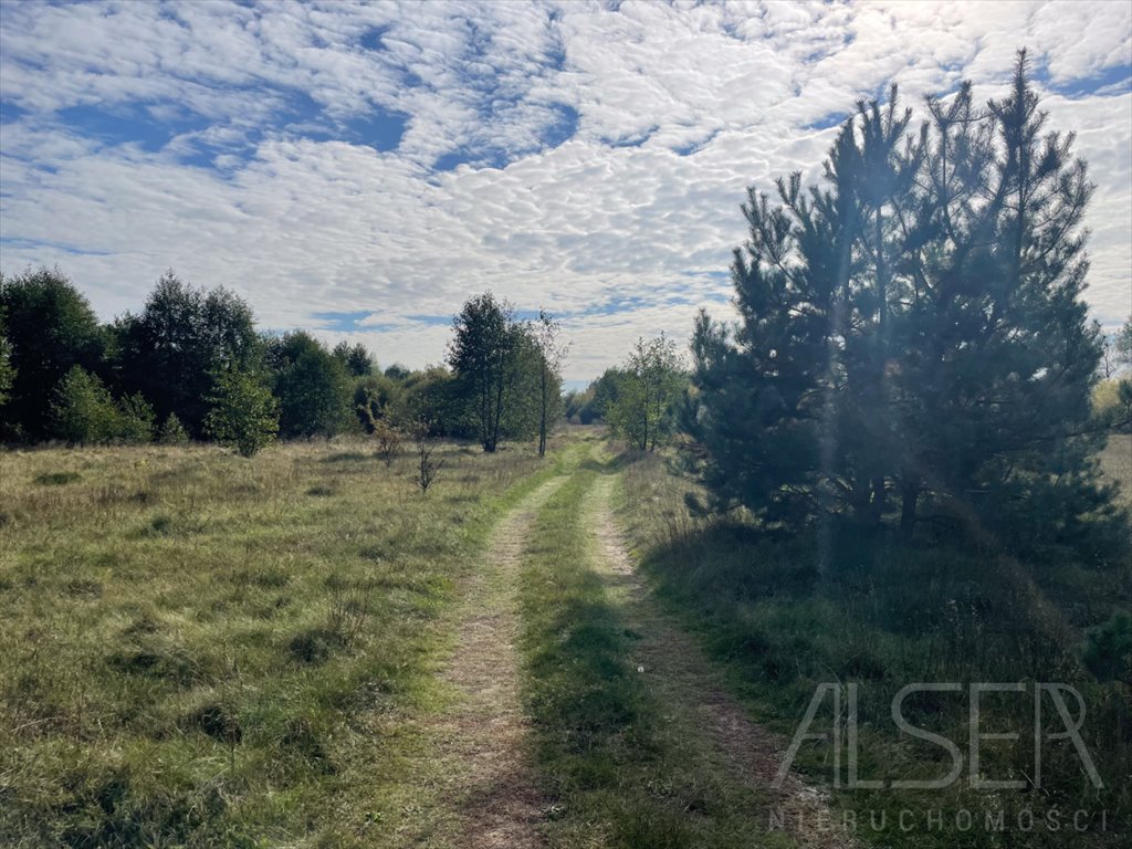 Działka rolna na sprzedaż Michałowo  38 400m2 Foto 11