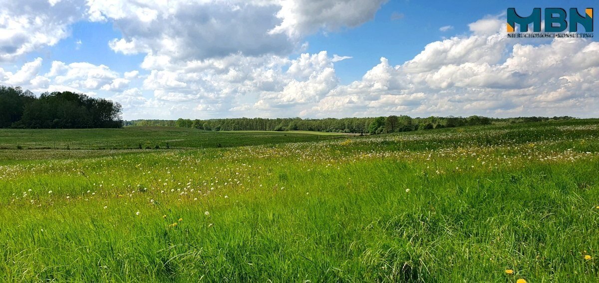 Działka inwestycyjna na sprzedaż Doba, Doba  35 031m2 Foto 10