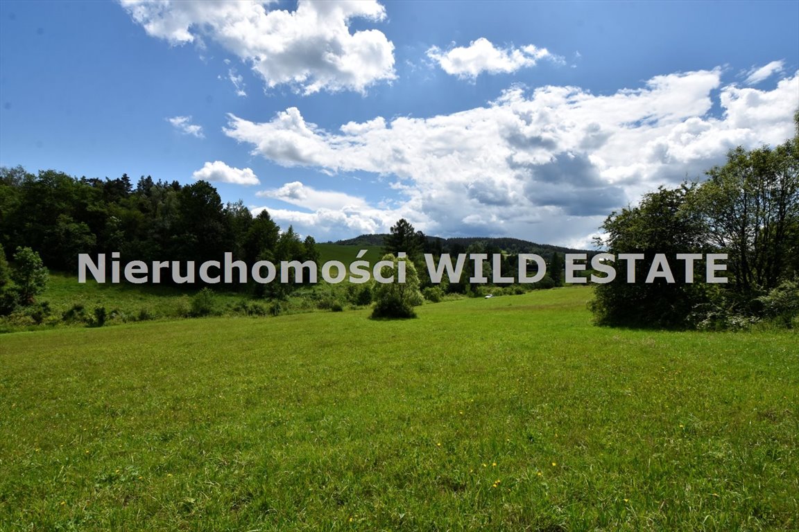 Urokliwa działka rolna 9900 m² w Berezce (blisko Soliny) Solina, Berezka  9 900m2 Foto 1