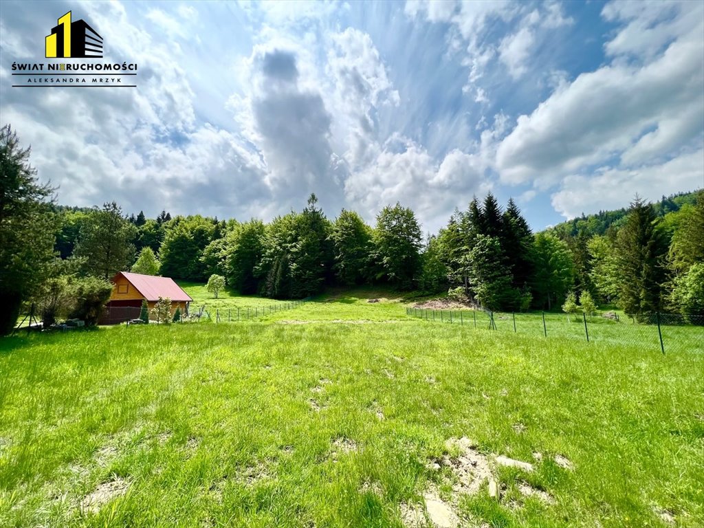 Działka inna na sprzedaż Przyborów  3 400m2 Foto 3