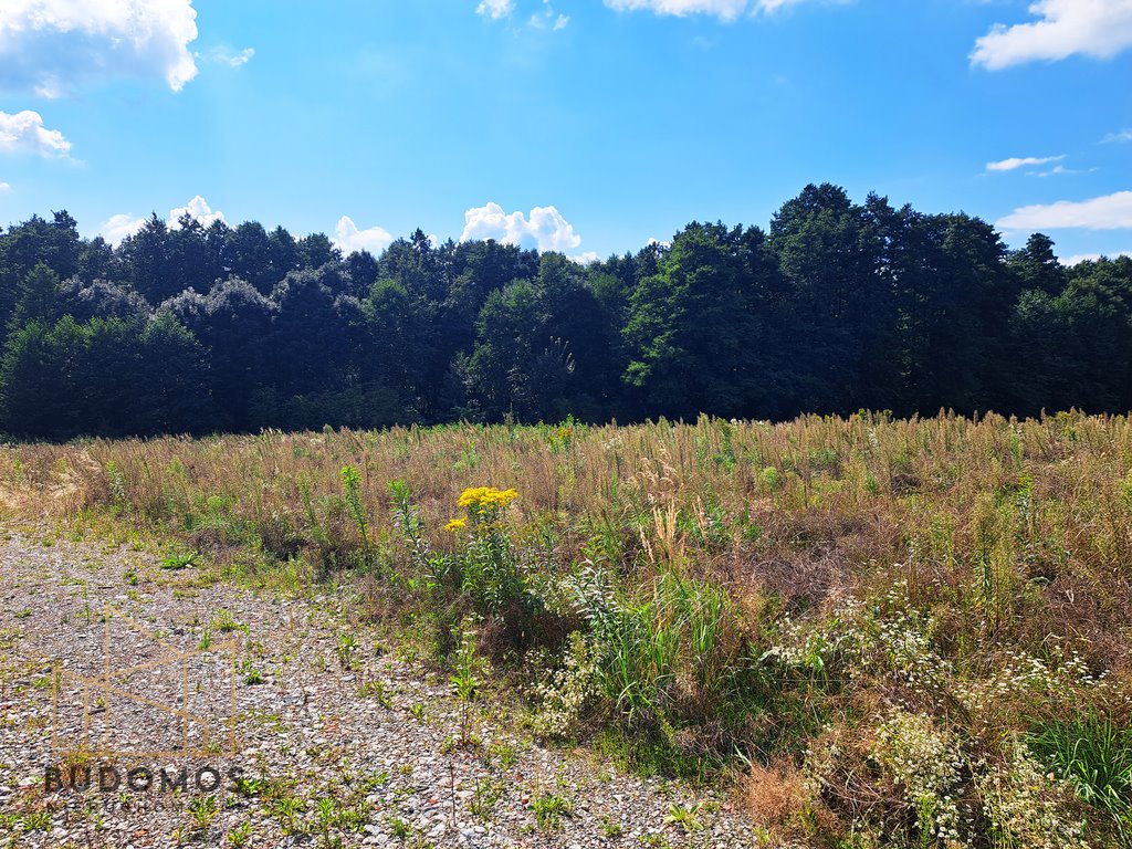 Działka budowlana na sprzedaż Wojnicz  2 400m2 Foto 3