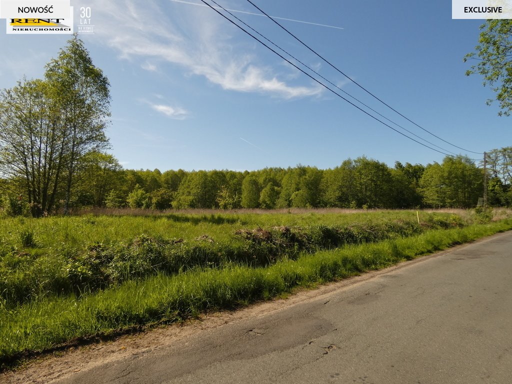 Działka budowlana na sprzedaż Łoźnica  3 004m2 Foto 3