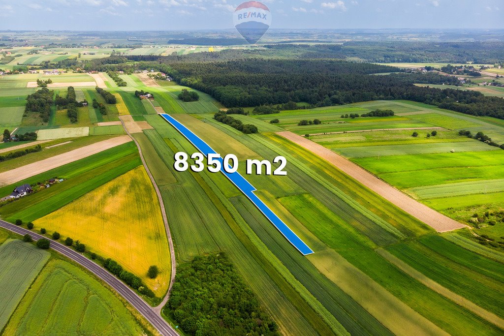 Działka inna na sprzedaż Skała  8 350m2 Foto 2