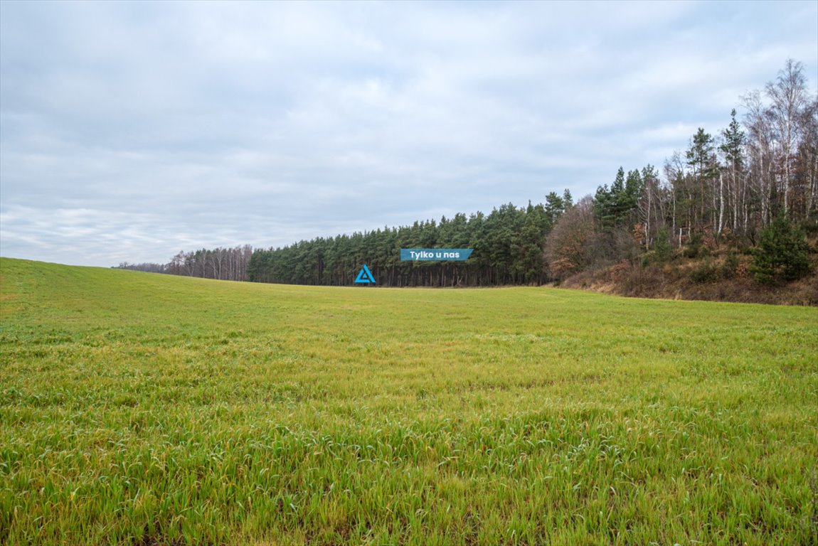 Działka inwestycyjna w Pierwoszynie nad morzem, 5915 m2 Pierwoszyno  5 915m2 Foto 1