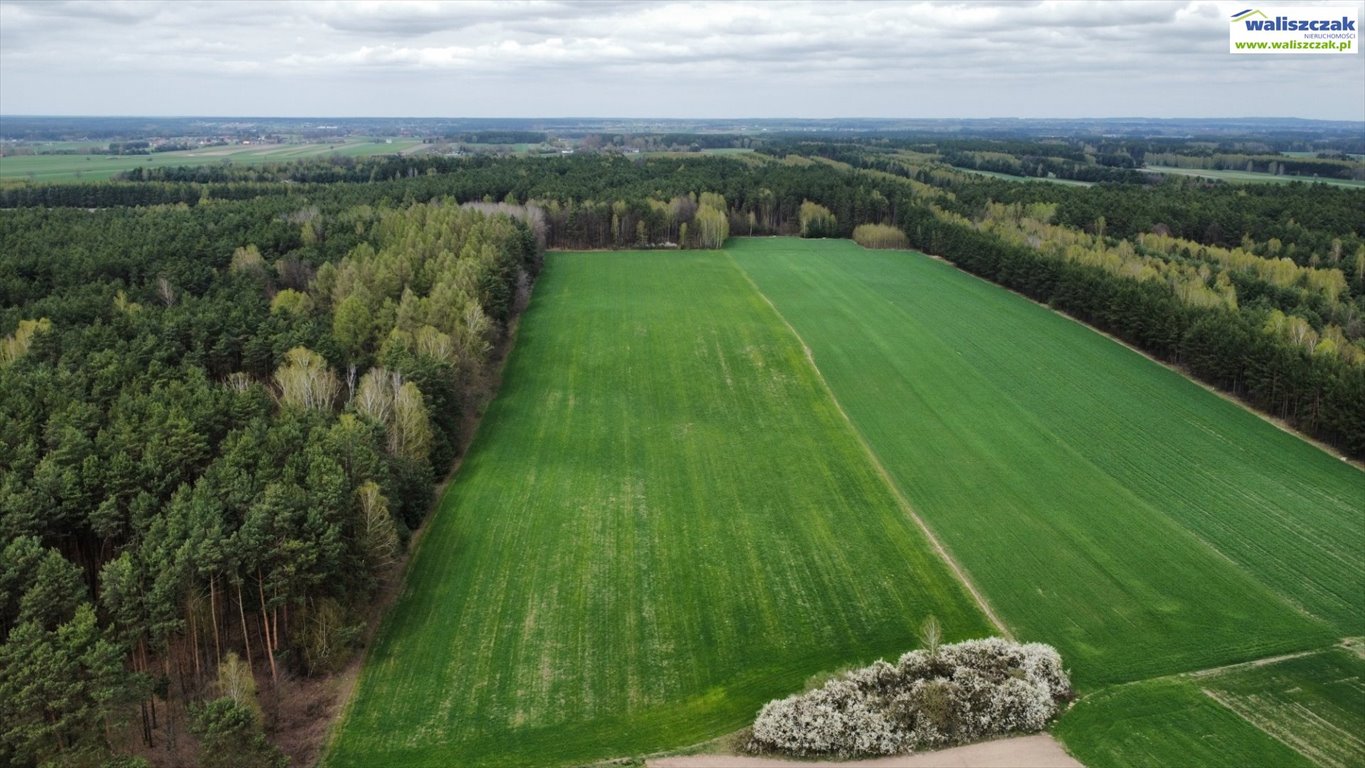 Działka rolna na sprzedaż Aleksandrów  41 700m2 Foto 1