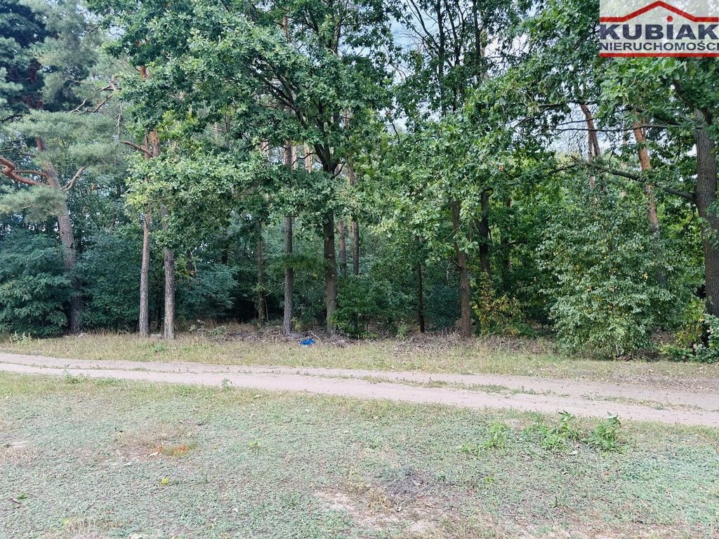 Polecam działkę 3600 m² w Powązkach - przyszłościowa inwestycja Powązki  3 600m2 Foto 1