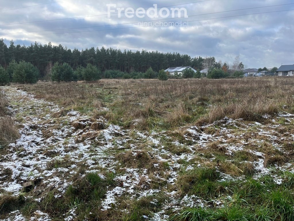 Działka budowlana na sprzedaż Zamek Bierzgłowski, Sosnowa  2 000m2 Foto 10