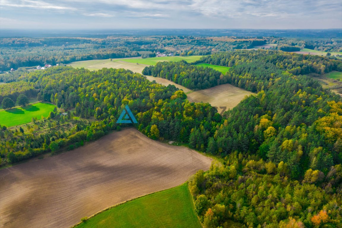 Działka rolna na sprzedaż Gołubie  102 067m2 Foto 11