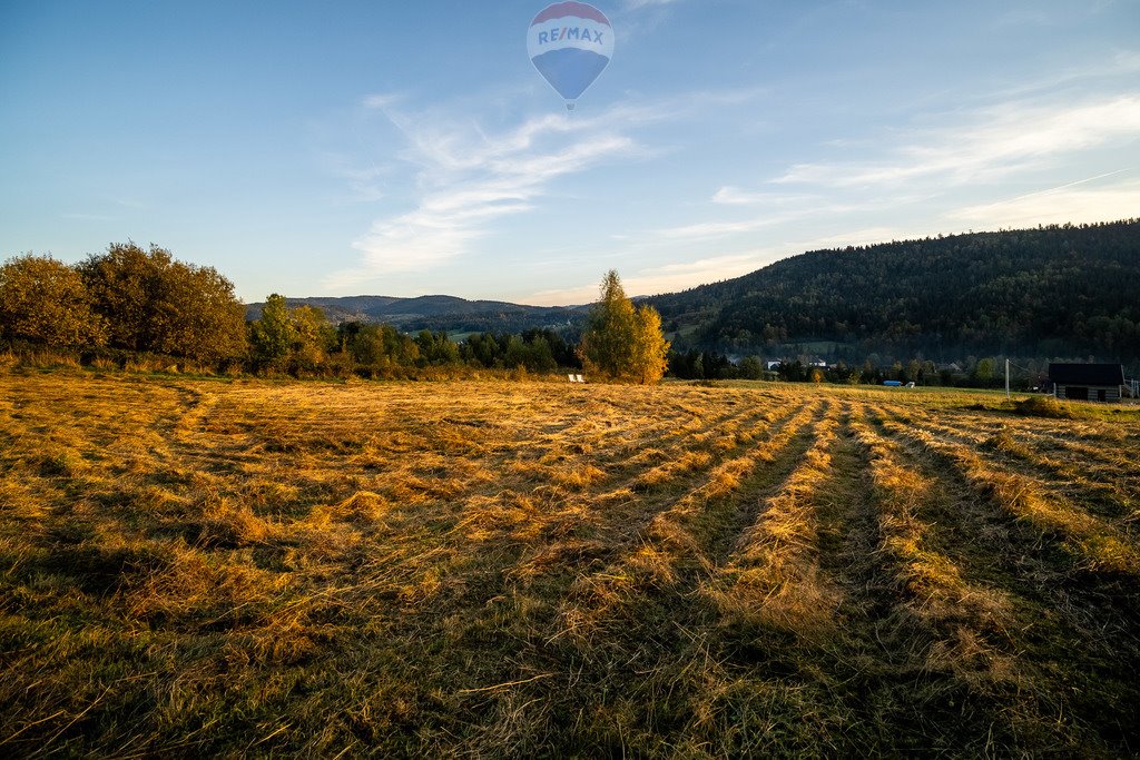 Działka budowlana na sprzedaż Łostówka  2 946m2 Foto 15