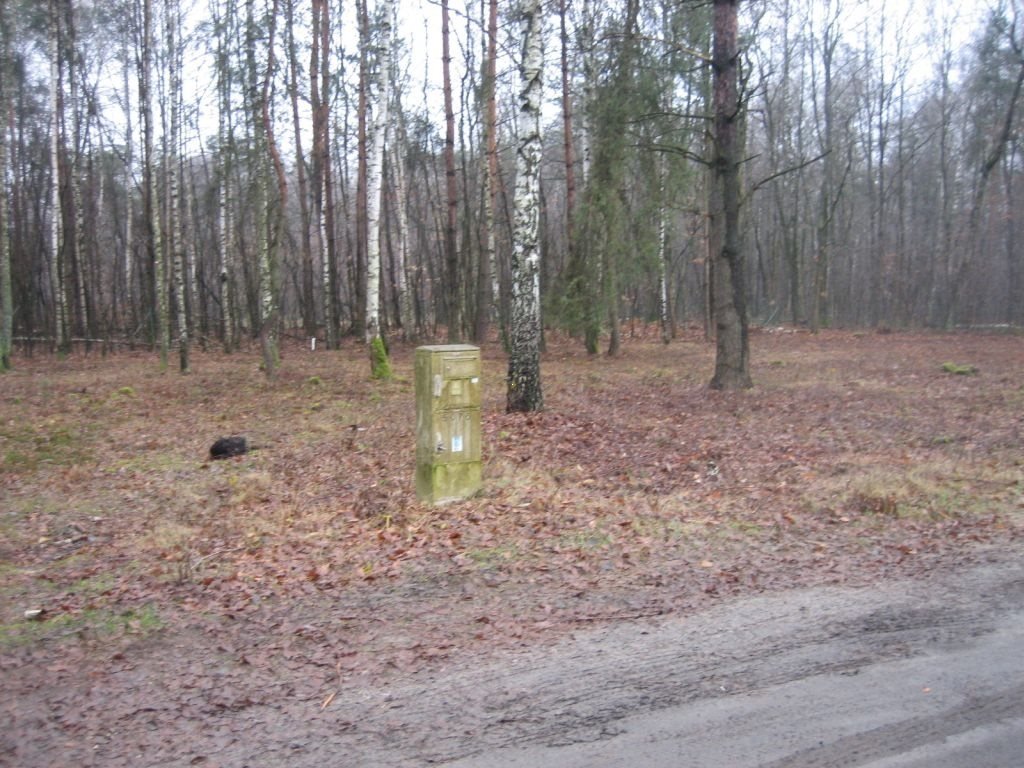 Działka budowlana na sprzedaż Aleksandrów Łódzki, obok Rezerwatu Przyrody  819m2 Foto 13