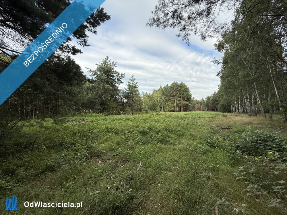 Działka 24,5 ara w Stobiernej (WZ na 4 domy) Stobierna  2 450m2 Foto 1