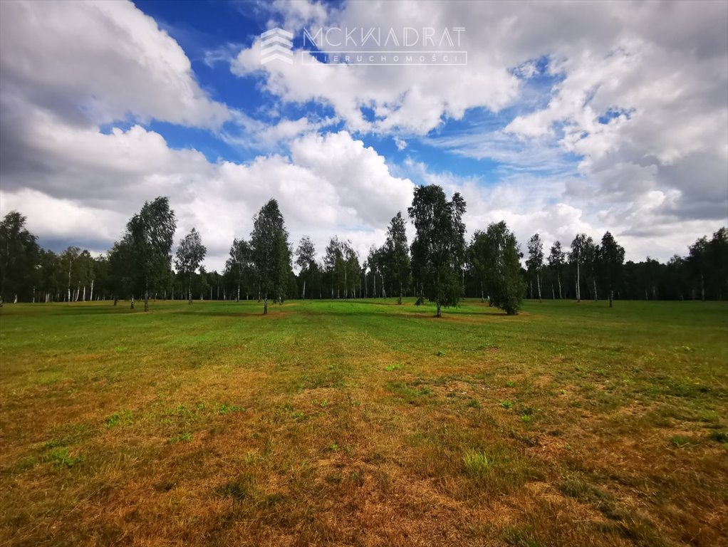 Działka budowlana na sprzedaż Miłomłyn  1 361m2 Foto 4