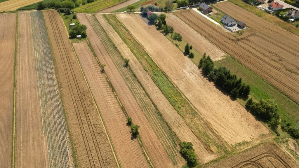 Działka budowlana na sprzedaż Krzysztoforzyce  5 500m2 Foto 4