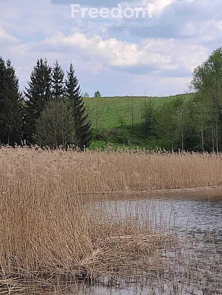 Działka budowlana na sprzedaż Bukwałd  3 016m2 Foto 5