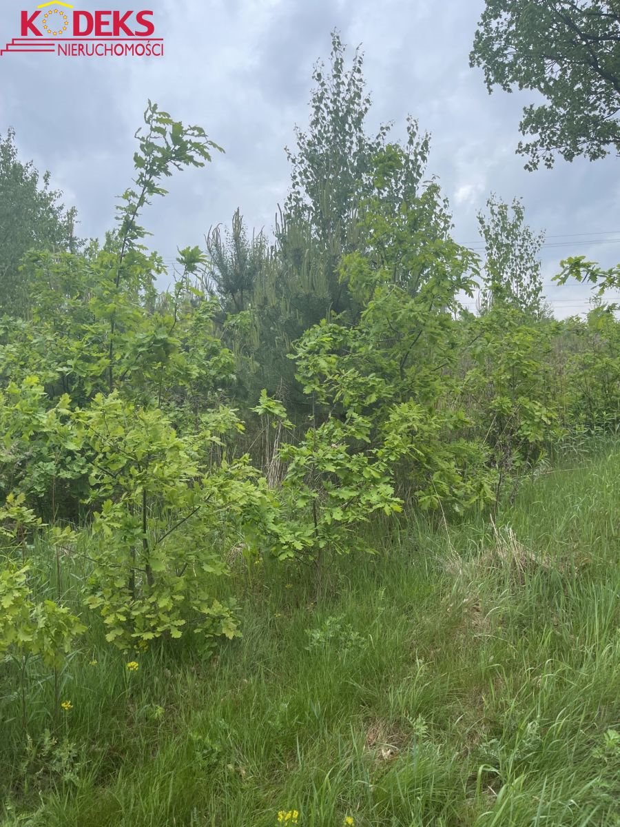 Działka pod dom w spokojnej okolicy z mediami i drzewkami Jachranka  11 689m2 Foto 1