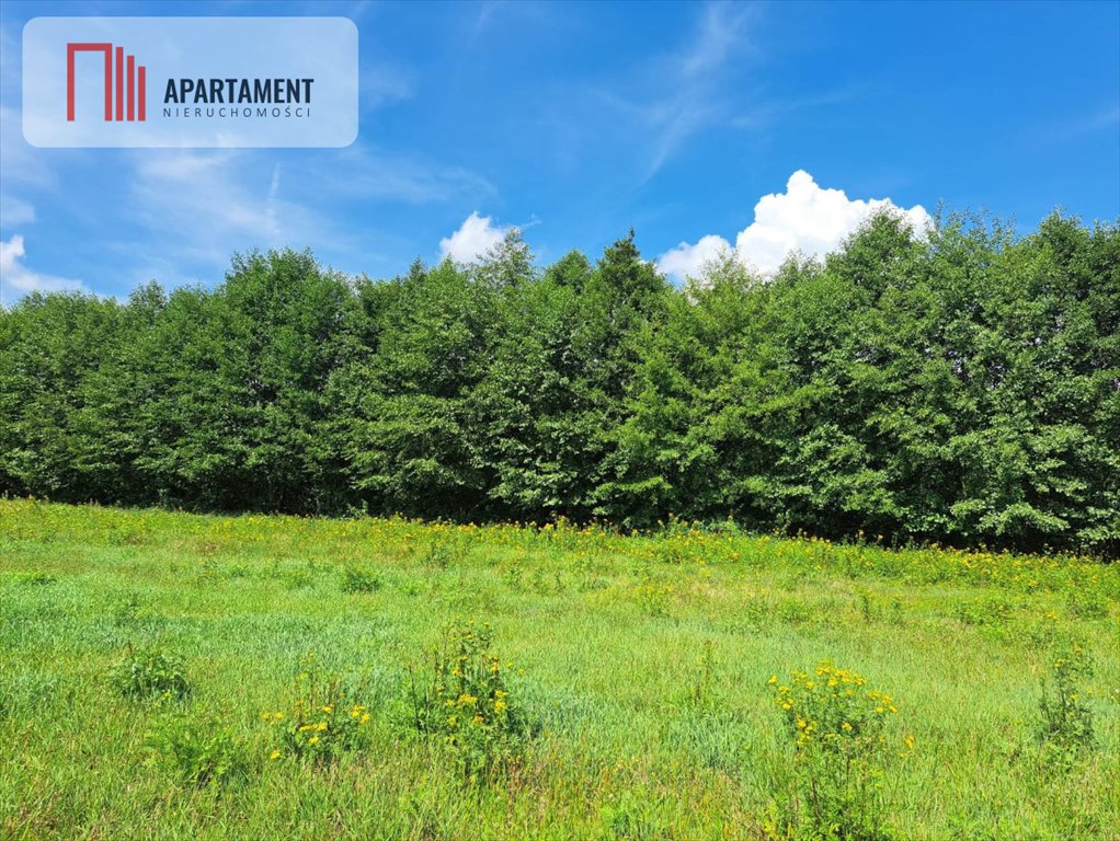 Działka budowlana na sprzedaż Wały  1 100m2 Foto 5