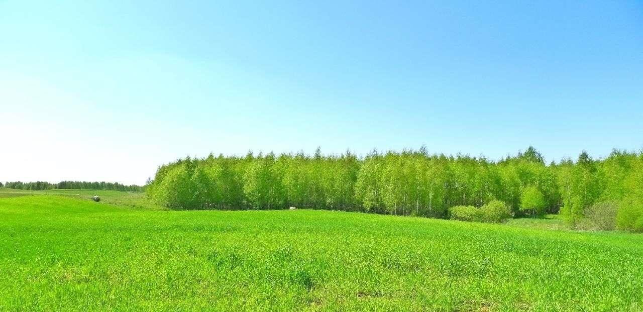 Działka rolna na sprzedaż Krasnopol  5 400m2 Foto 10