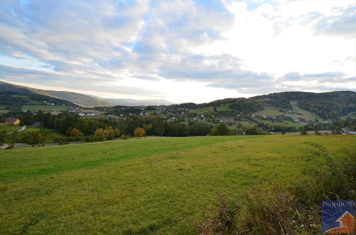 Działka budowlana na sprzedaż Laskowa  2 700m2 Foto 6